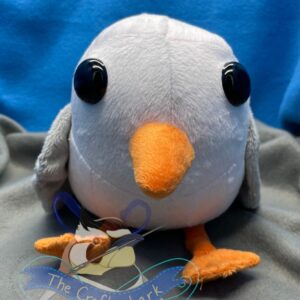 Minky Common Gull