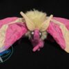 Rosey Maple Moth - Image 4