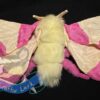 Rosey Maple Moth - Image 2